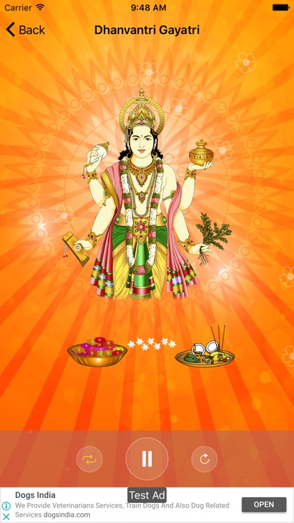 Dhanvantri Pooja and Mantra screenshot-3