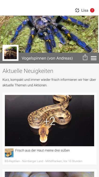 Vogelspinnen (von Andreas)