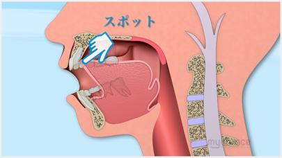 マイオブレース・アクティビティーズ JPのおすすめ画像3