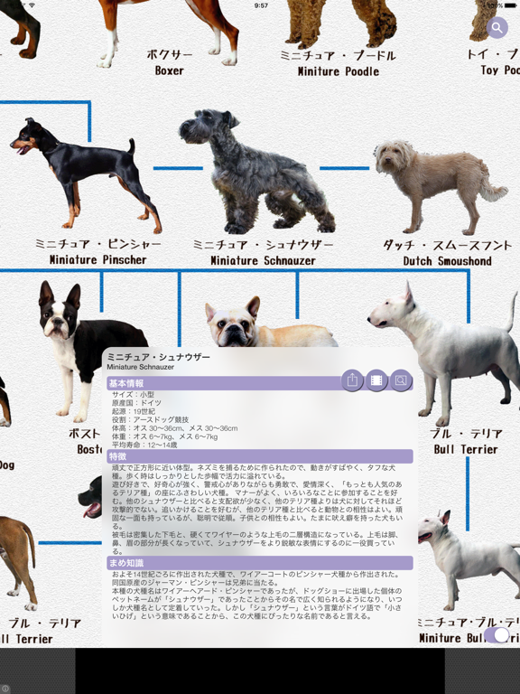 犬図鑑 Dog S Family By Shinya Fujimura Ios 日本 Searchman アプリマーケットデータ