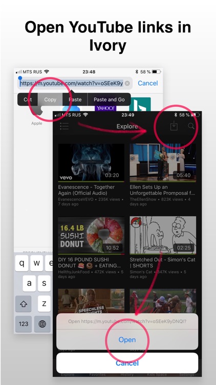 Ivory - Video Player screenshot-4