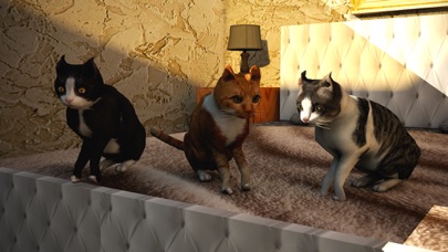 Cat Simulator 2018: Rat VS Cat screenshot 3