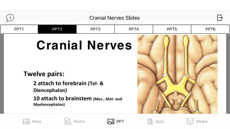 Cranial Nerves Plus screenshot-5