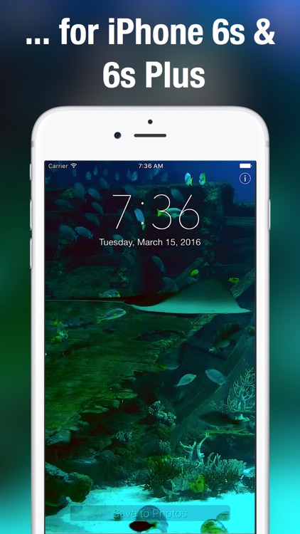 Aquarium Dynamic Wallpapers screenshot-4