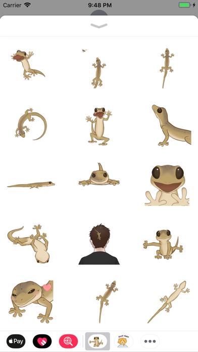 Gecko Animated Stickers screenshot 2