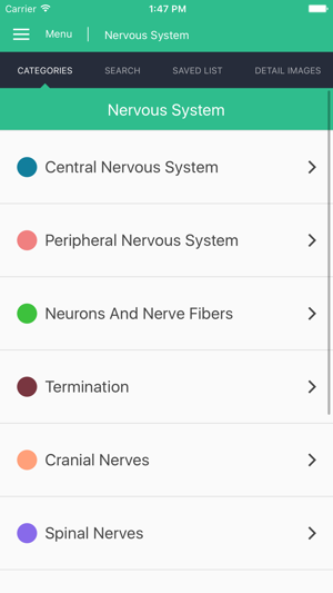 Nervous System Reference Guide