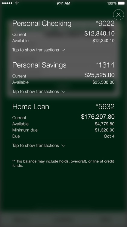 LCFCU screenshot-4