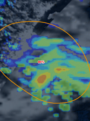 Pacific Typhoon Tracker - náhled