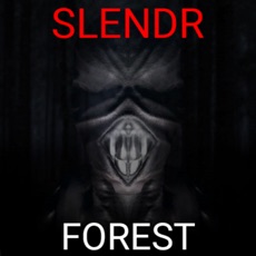 Activities of Slendr Forest Horror Game