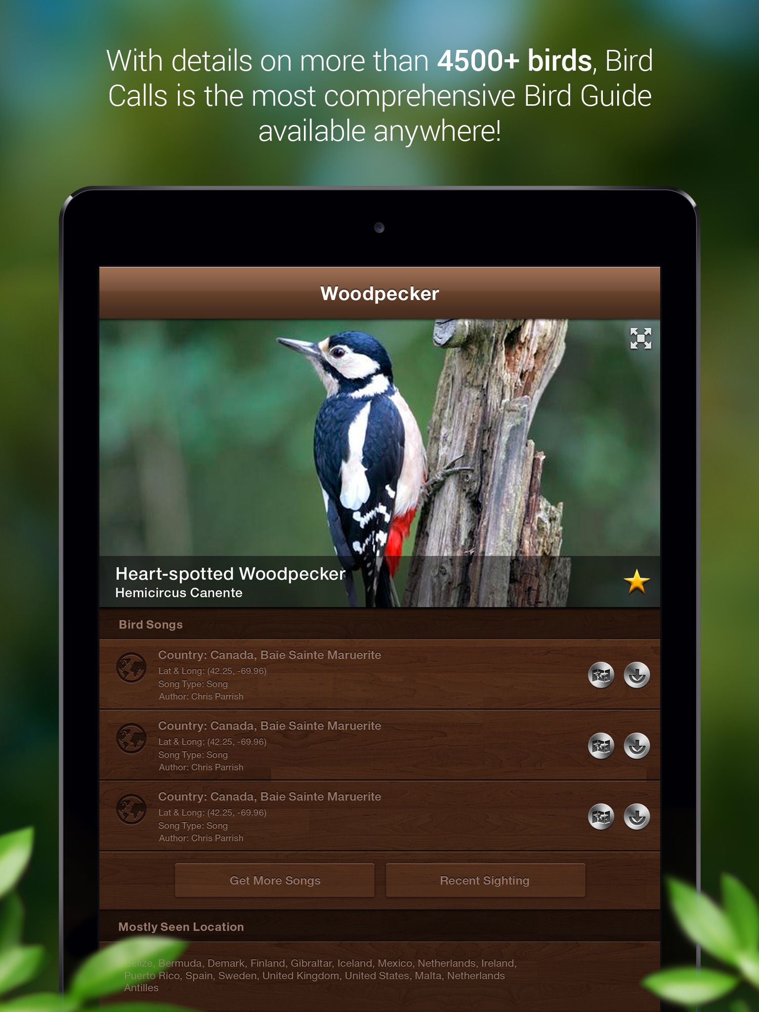 Bird Songs - Bird Call & Guide screenshot 2
