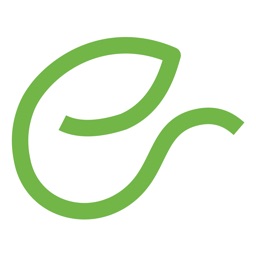 Ecosmart Pool