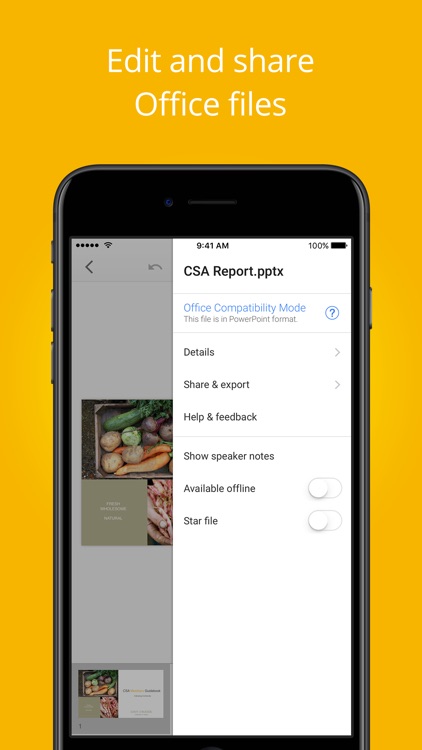 Google Slides screenshot-3