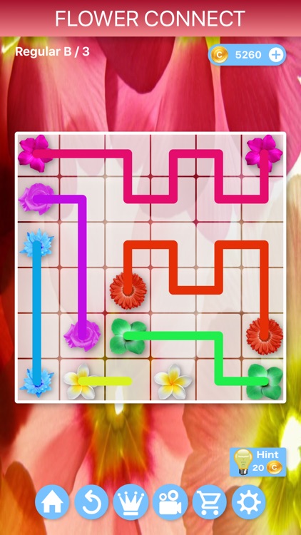 Flower Connect - Puzzles