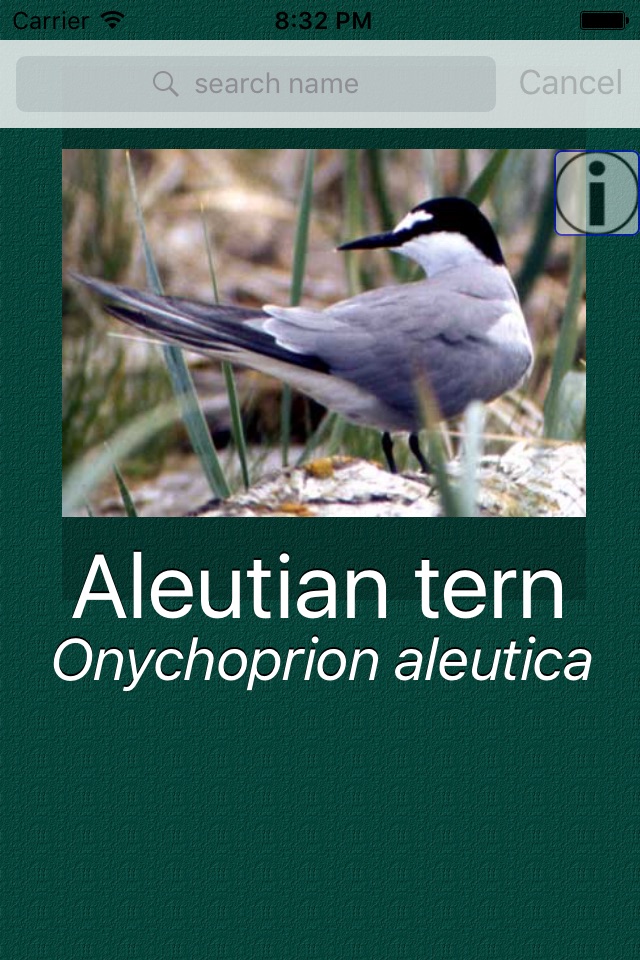 Britain UK Birds Dictionary screenshot 2