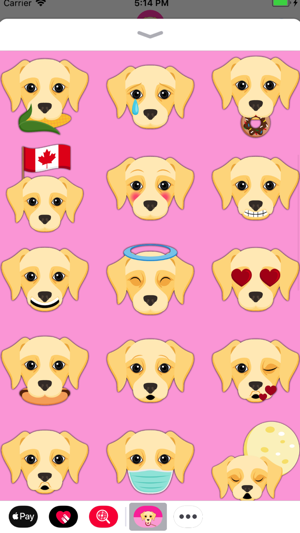 Cream Labrador Emoji(圖4)-速報App