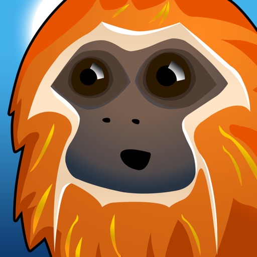 RIN the Tamarin