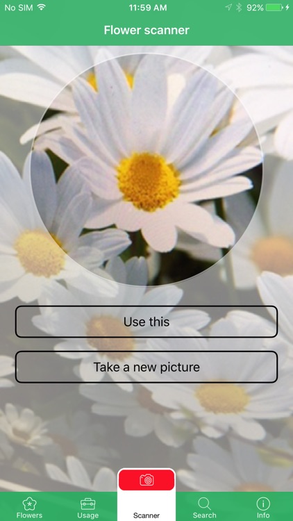 Mobile Flora - Wild Flowers