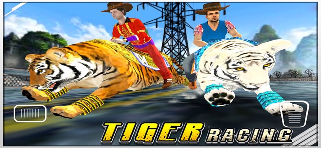 Tiger Racing : Simulator Race(圖2)-速報App