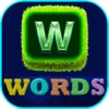 Word Game 3D - Guess & Find Words Search Puzzle