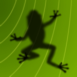 Ancient Frog Logo