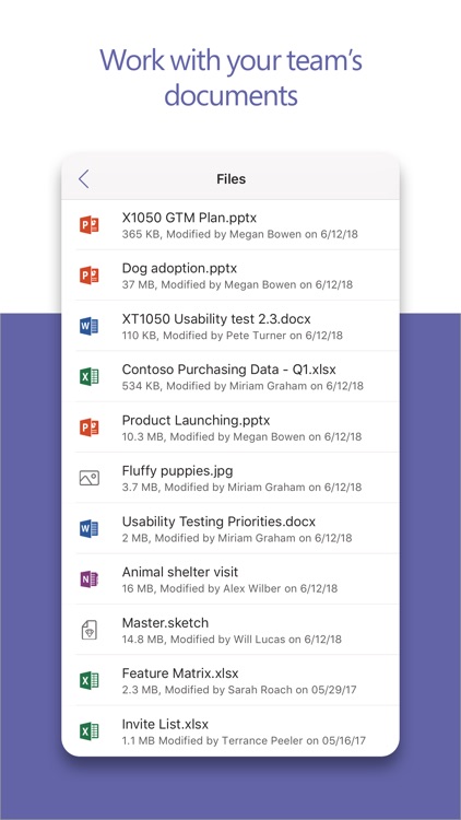 Microsoft Teams screenshot-3