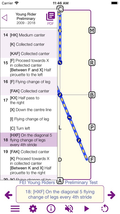 TestPro: FEI Dressage Tests screenshot-0