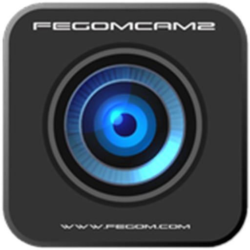 FEGOMCAM2