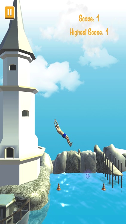 Insane BackFlip Dive Challenge 2