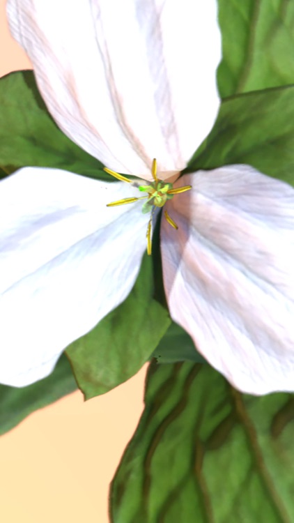 AR Perpetual Garden screenshot-7