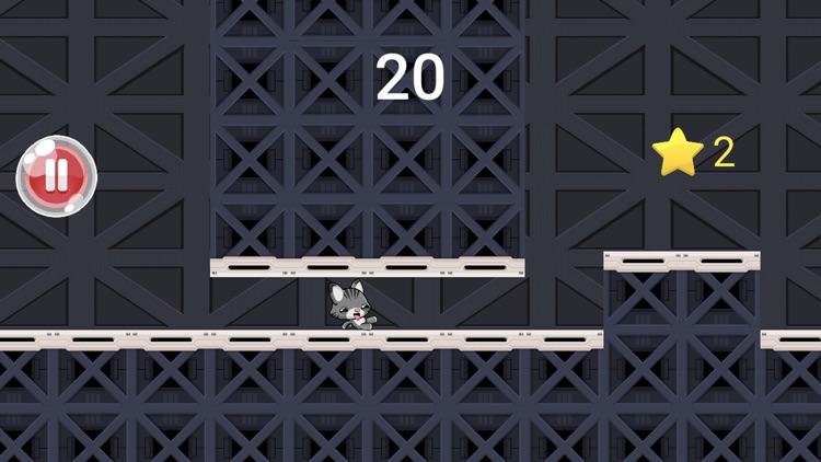 Daredevil Cat - Rush Road screenshot-3