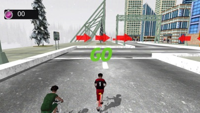 Bicycle City Race 2017 screenshot 3
