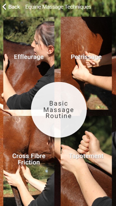 Equestricare Horse Massage screenshot 4
