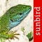 Reptile Id will help you identify every single species of reptile and amphibian of the British Isles