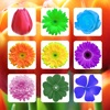 Flower Sudoku  - Puzzle Game - iPadアプリ