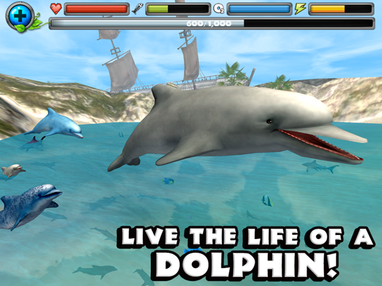 Dolphin Simulator на iPad
