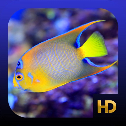 Peaceful Aquarium HD