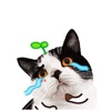 Catty Animated Stickers