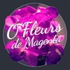 O' Fleurs de Magenta