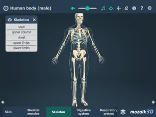 Captura 3 Human body (male) 3D iphone