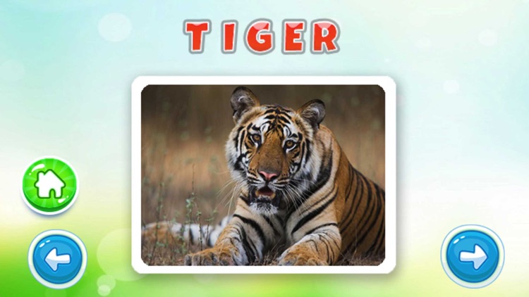 Animal Vocabulary In English screenshot-3