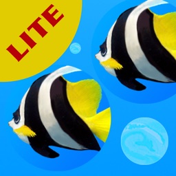 Floating Fish Lite