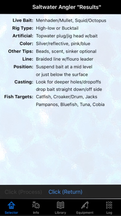 Saltwater Angler