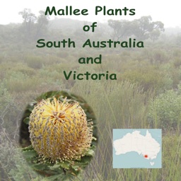 Mallee Plants of SA and Vic.