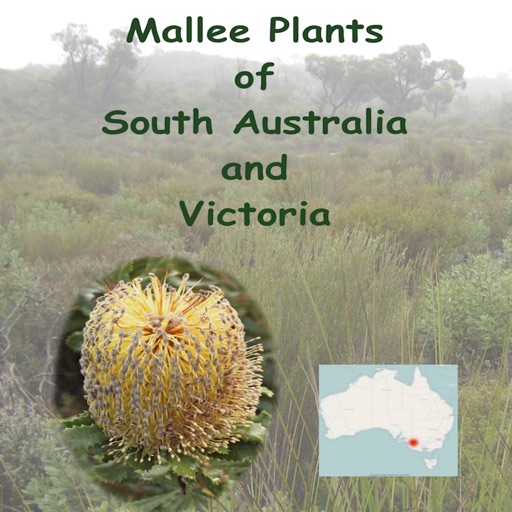 Mallee Plants of SA and Vic.