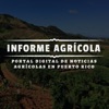 Informe Agricola