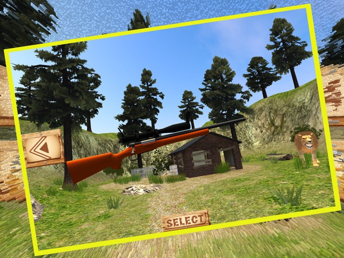 森林野生动物拍摄