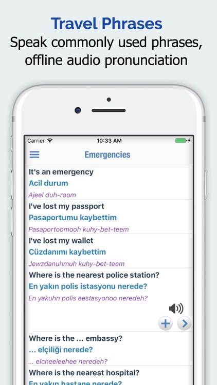 Turkish Dictionary + screenshot-3