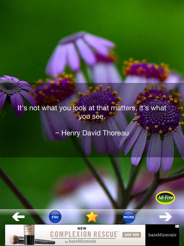 Inspirational Quotes & Sayings on the App Store Inspirational Quotes & Sayings on the App Store