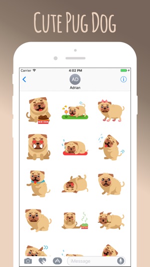 Pug Cute Sweetheart(圖3)-速報App