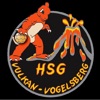 HSG Vulkan Vogelsberg
